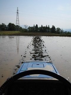 IMG_1935.jpg