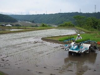 IMG_1945.jpg