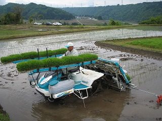 IMG_1946.jpg