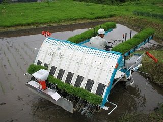 IMG_1947.jpg