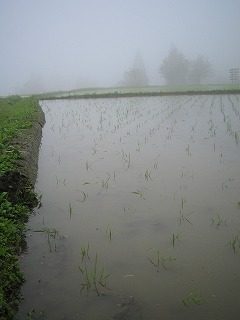 IMG_1956.jpg
