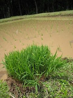 IMG_1959.jpg