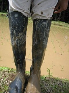 IMG_1962.jpg