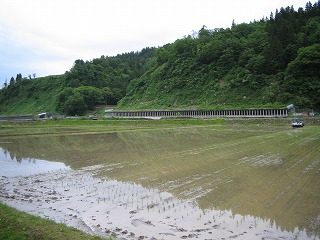 IMG_1964.jpg
