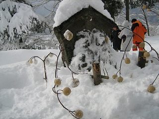 IMG_1978.jpg