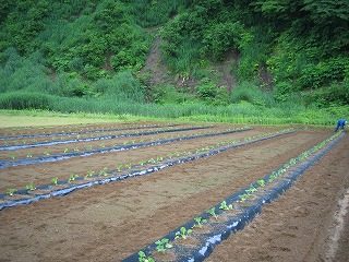 IMG_1994.jpg