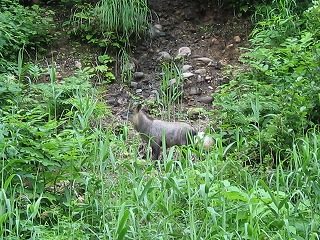 IMG_1998.jpg