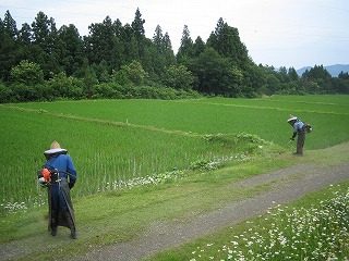 IMG_2007.jpg