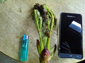 IMG_20160428_221944.jpg