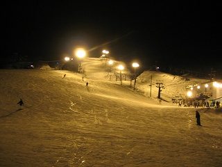 IMG_2037.jpg