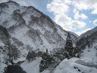 IMG_2042.jpg