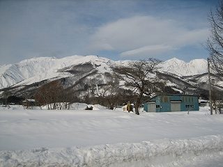 IMG_2044.jpg
