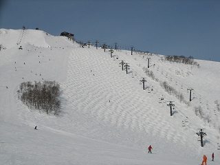 IMG_2050.jpg