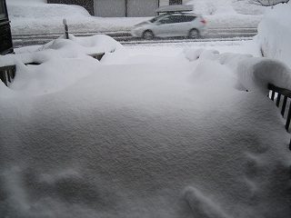 IMG_2057.jpg