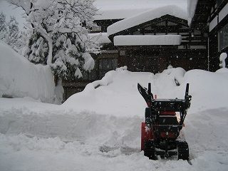 IMG_2059.jpg