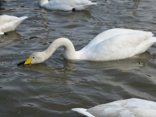 IMG_2100.jpg