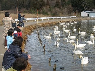 IMG_2101.jpg