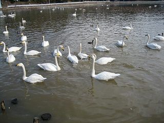IMG_2102.jpg