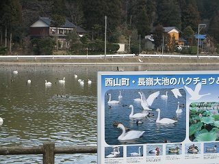 IMG_2106.jpg