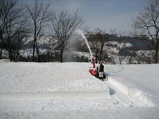 IMG_2116.jpg