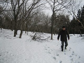 IMG_2124.jpg
