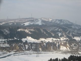 IMG_2126.jpg