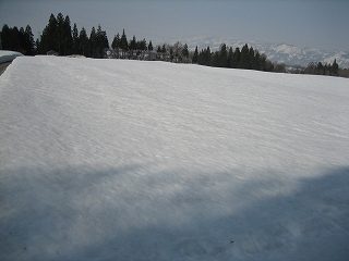 IMG_2128.jpg