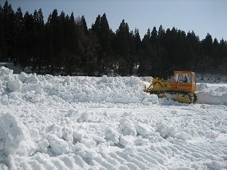 IMG_2134.jpg