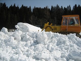 IMG_2135.jpg