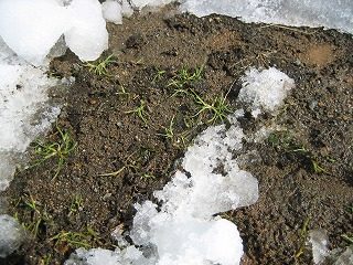 IMG_2136.jpg