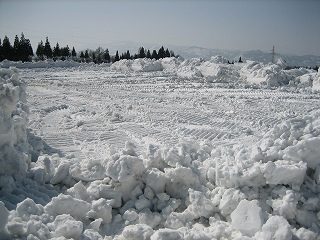 IMG_2137.jpg