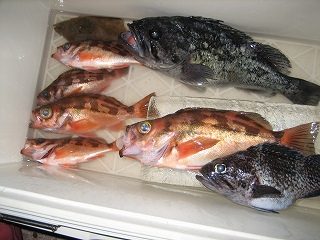 IMG_2150.jpg