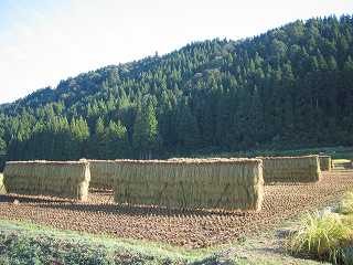 IMG_2154.jpg