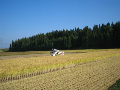 IMG_2178.jpg