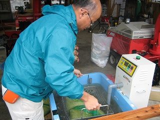 IMG_2179.jpg