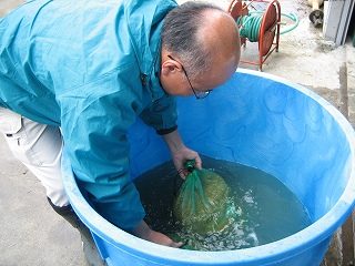 IMG_2184.jpg