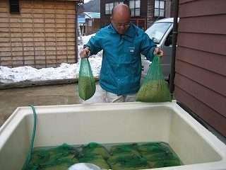 IMG_2185.jpg