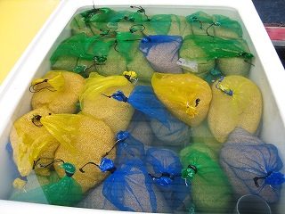 IMG_2191.jpg