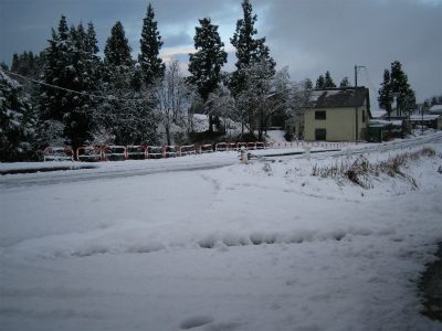 IMG_2200.jpg