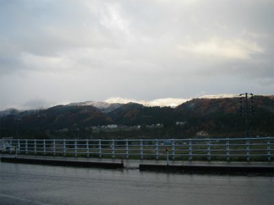 IMG_2202.jpg