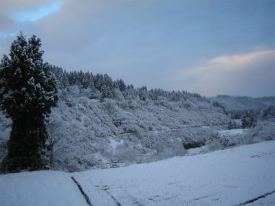 IMG_2214.jpg