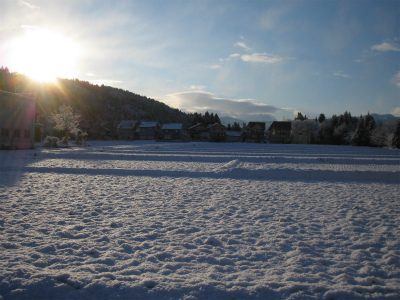 IMG_2215.jpg
