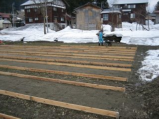 IMG_2234.jpg