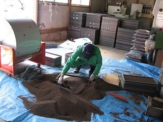IMG_2240.jpg