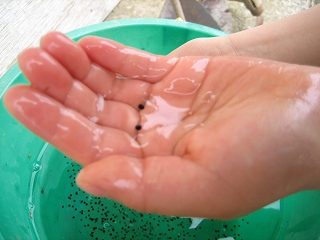 IMG_2272.jpg