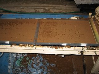 IMG_2332.jpg