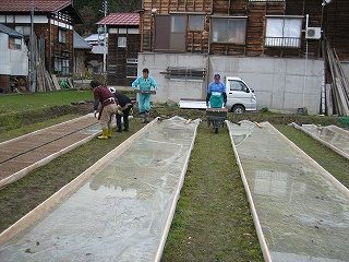 IMG_2354.jpg