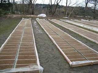 IMG_2355.jpg