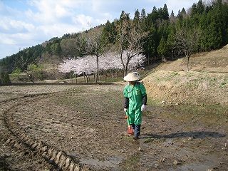 IMG_2384.jpg