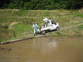 IMG_2448.jpg